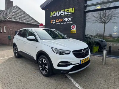 Opel Grandland X 1.2 TURBO BUS. ELEG. uit 2021