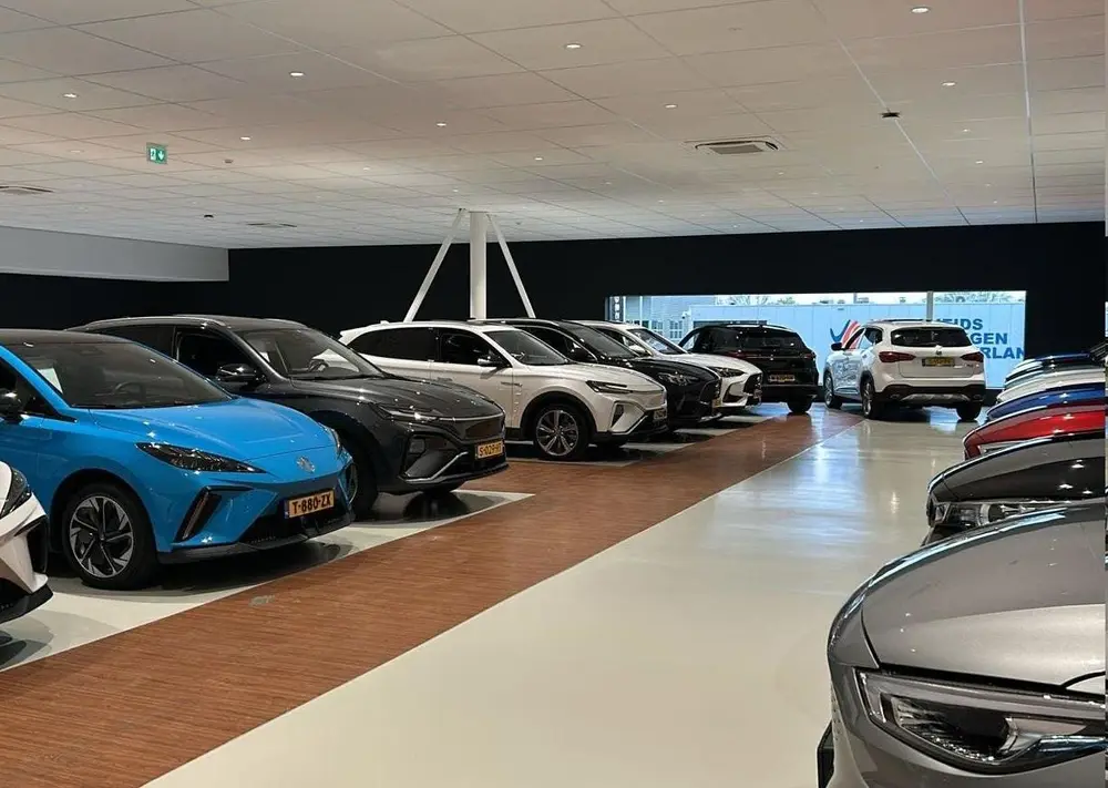 MG ZS EV Luxury 45 kWh MG ZS EV Luxury uit 2020, foto 5