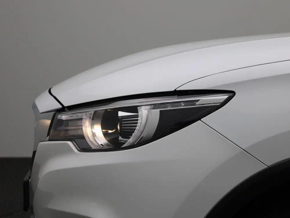 MG ZS EV Luxury 45 kWh SOH 92,17% uit 2021, foto 16