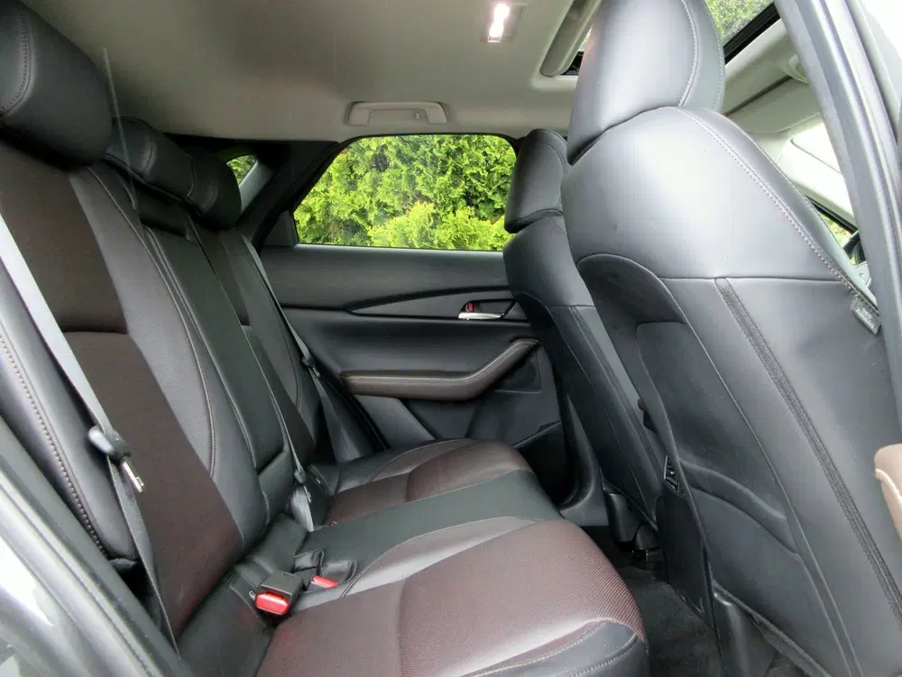 Mazda CX-30 2.0 e-SkyActiv-X M Hybrid Luxury * Trekhaa uit 2020, foto 14