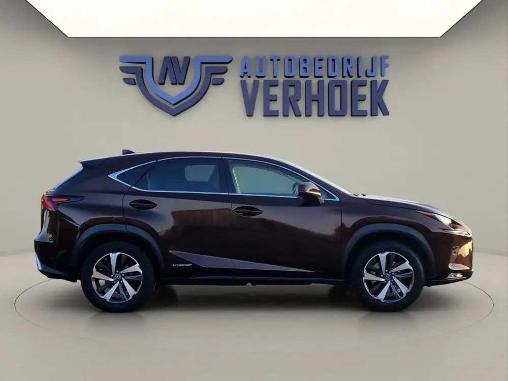 Lexus NX 300h AWD Executive Line + President Pack - NL Auto uit 2020, foto 10