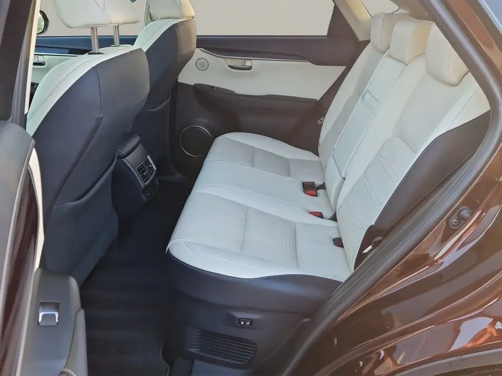 Lexus NX 300h AWD Executive Line + President Pack - NL Auto uit 2020, foto 13