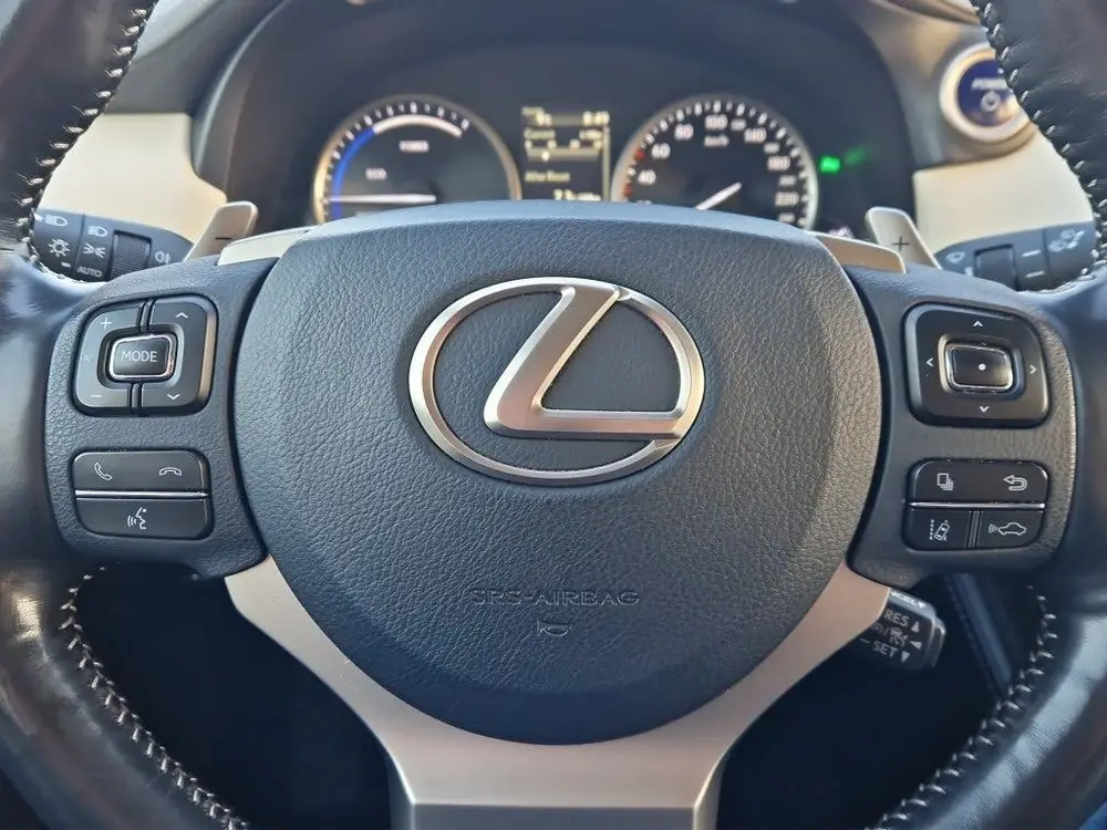 Lexus NX 300h AWD Executive Line + President Pack - NL Auto uit 2020, foto 15