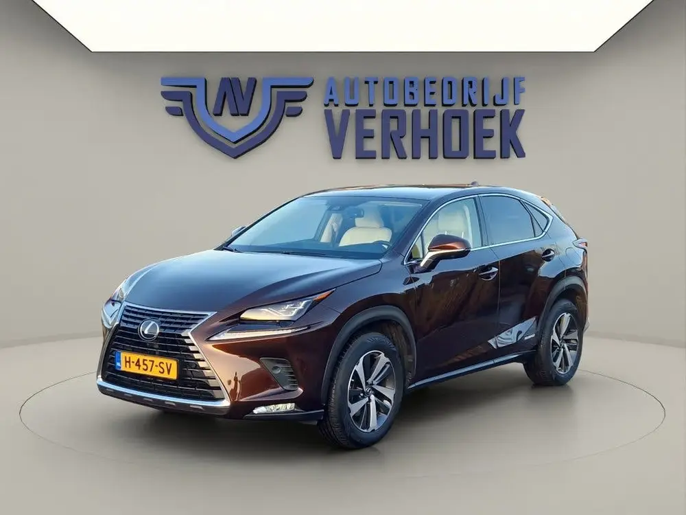 Lexus NX 300h AWD Executive Line + President Pack - NL Auto uit 2020, foto 5