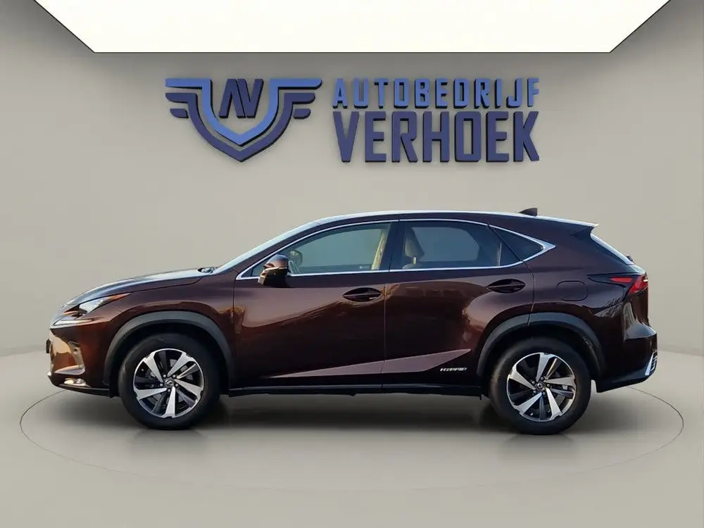 Lexus NX 300h AWD Executive Line + President Pack - NL Auto uit 2020, foto 6