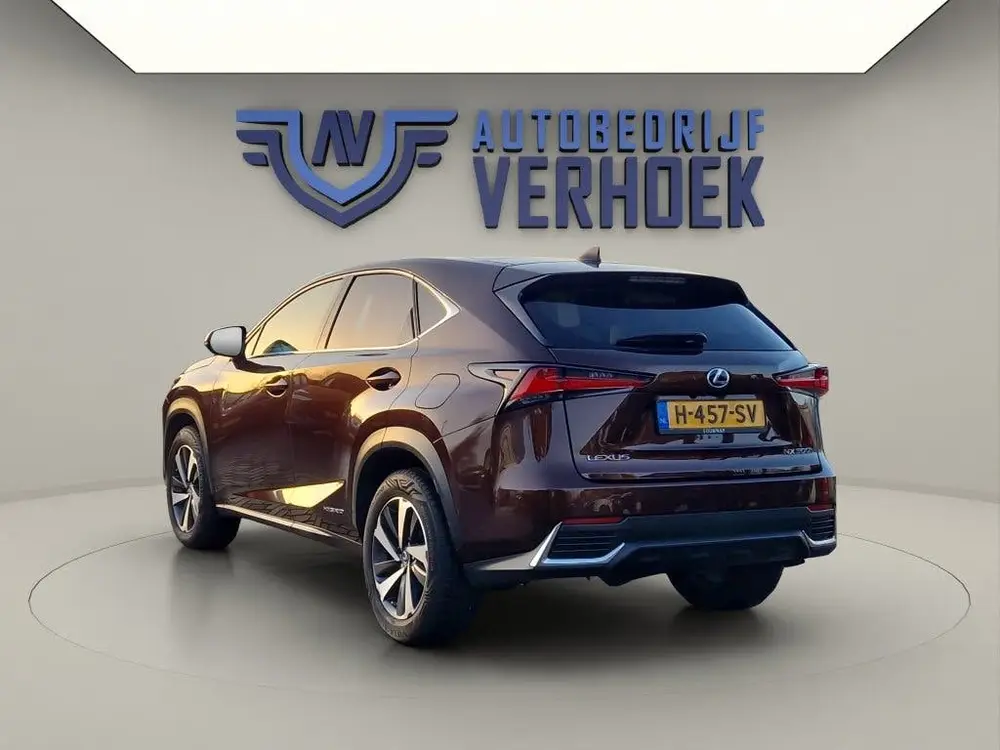 Lexus NX 300h AWD Executive Line + President Pack - NL Auto uit 2020, foto 7