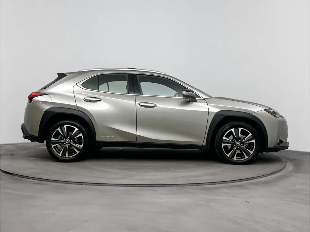 Lexus UX 250h Executive Line Limited President | Mark-Levins uit 2020, foto 15