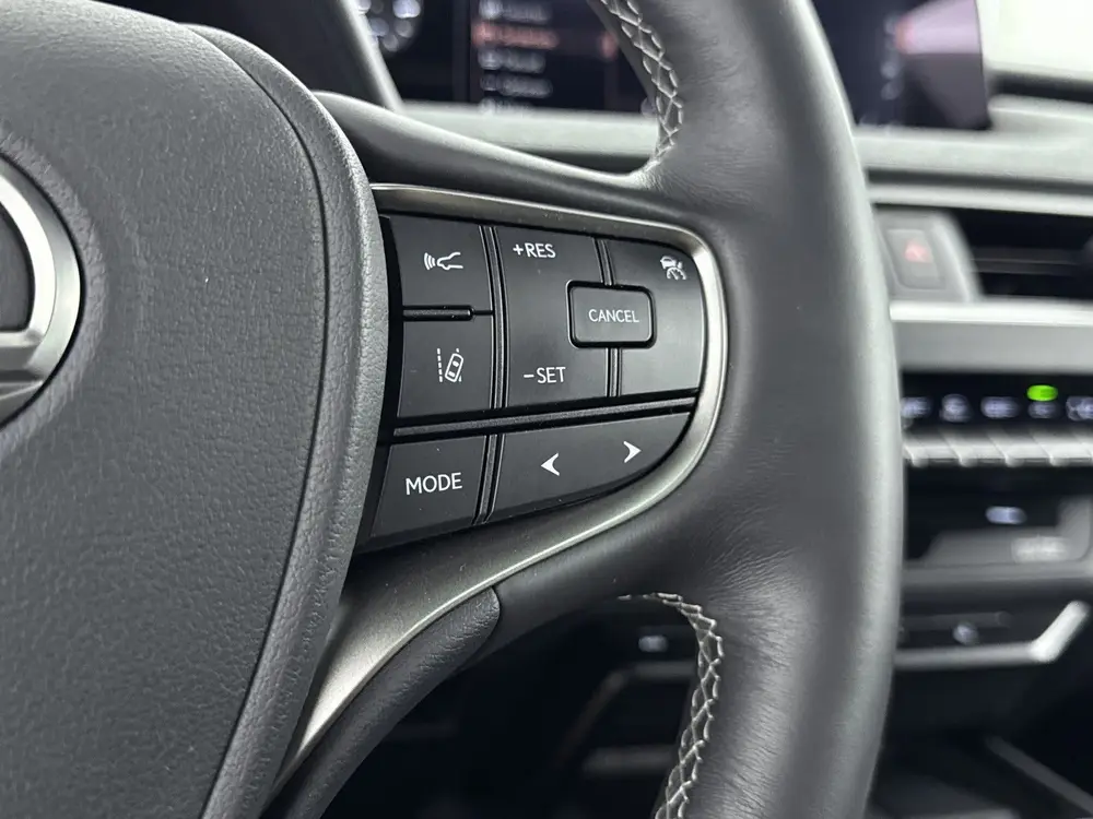 Lexus UX 250h Executive Line Limited President | Mark-Levins uit 2020, foto 18