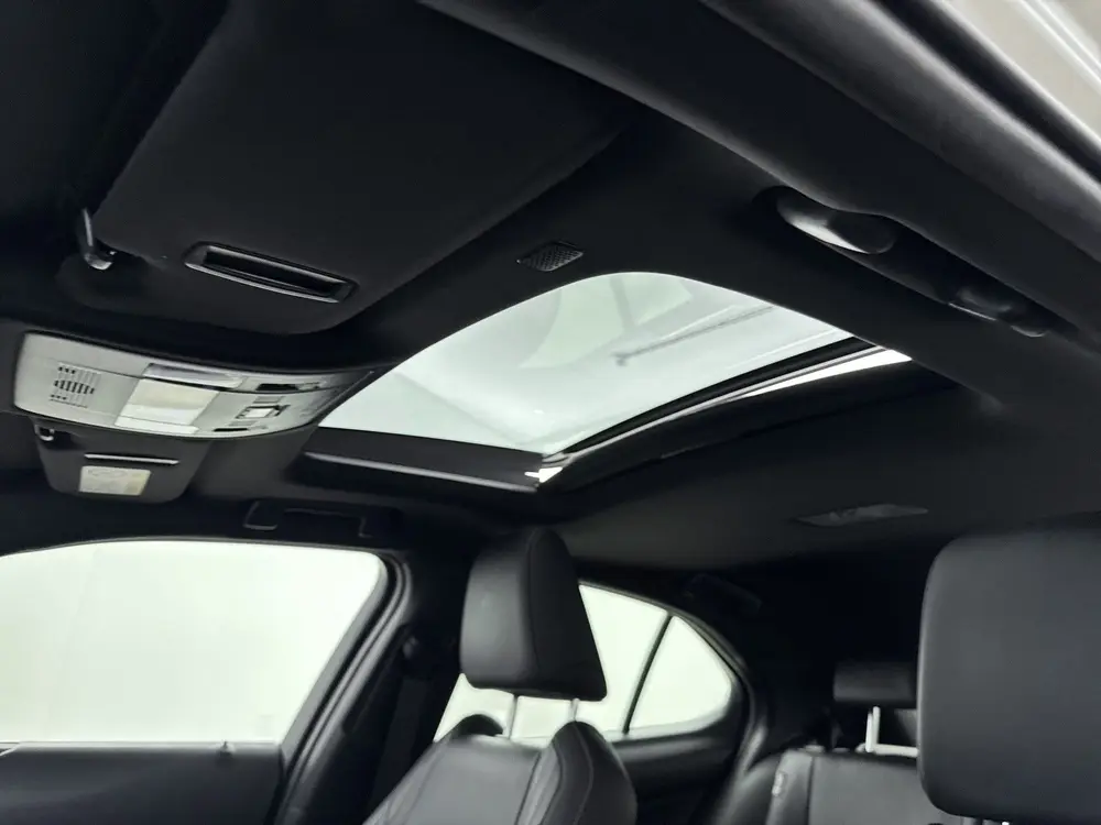 Lexus UX 250h Executive Line Limited President | Mark-Levins uit 2020, foto 4