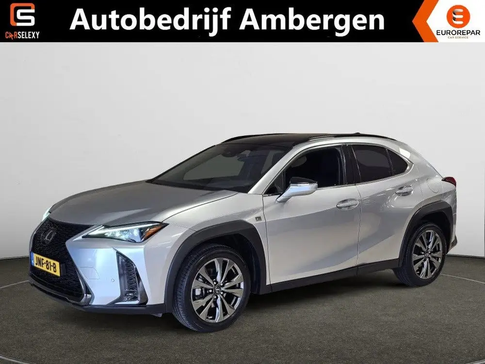 Lexus UX 250h F-Sport-Design Navi Camera Winterpakk uit 2024
