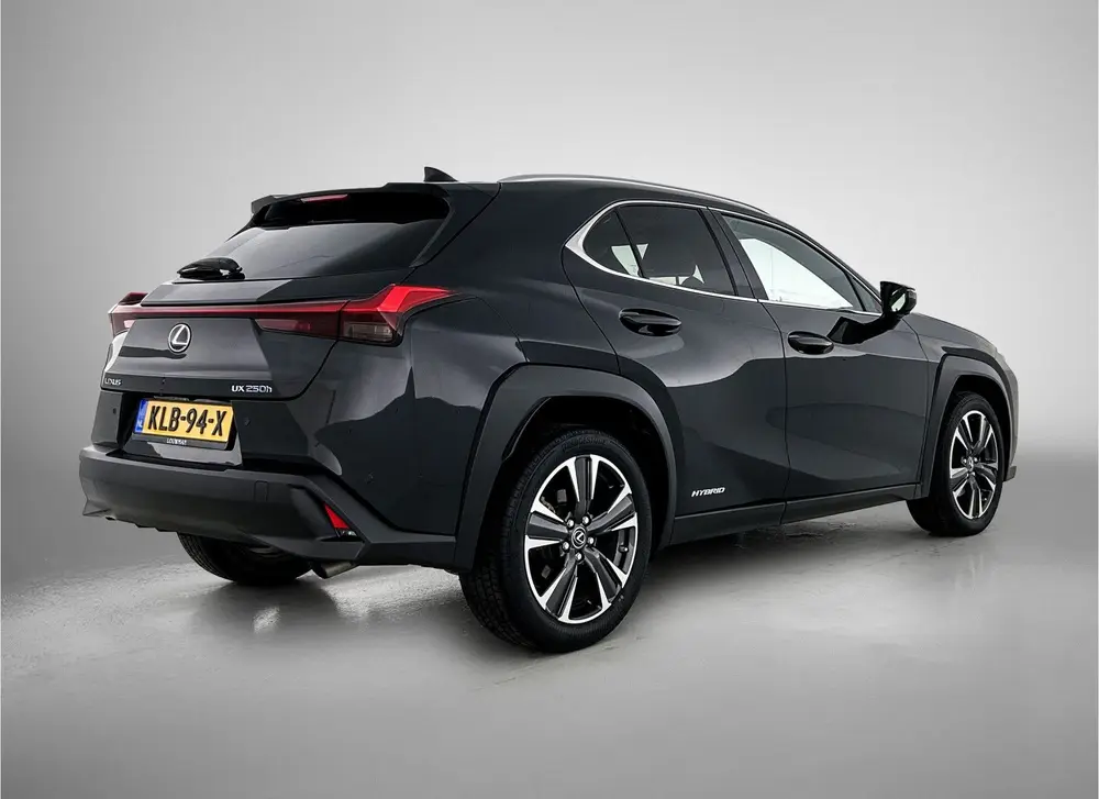 Lexus UX 250h Executive Line + President Pack | Mark Levinso uit 2020, foto 2
