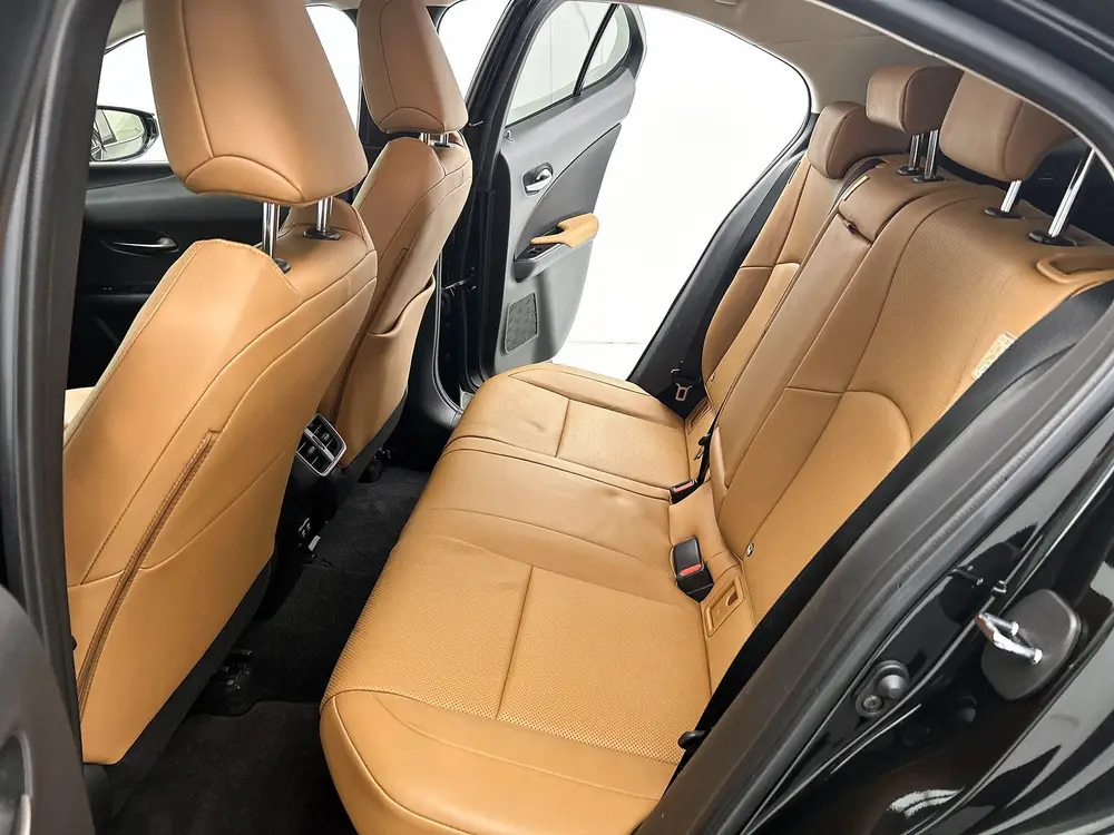Lexus UX 250h Executive Line + President Pack | Mark Levinso uit 2020, foto 9