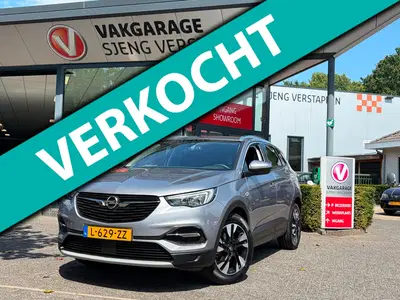Opel Grandland X 1.2 Turbo Business Executive autom. 360cam uit 2021