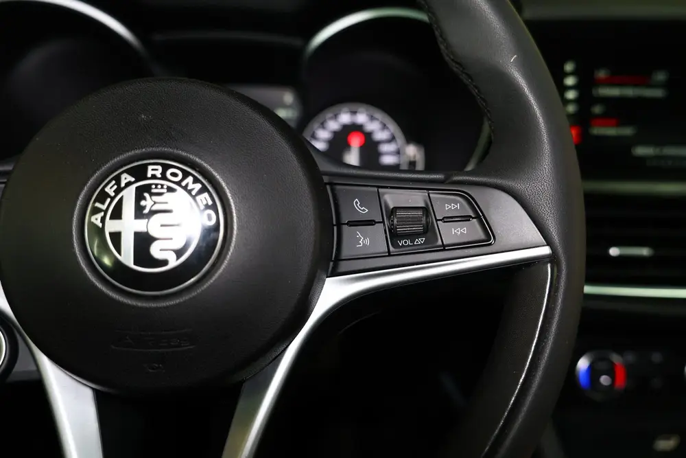 Alfa Romeo Stelvio 2.0 T AWD Super 44000 km ! AVM MEMORY CAM uit 2019, foto 20