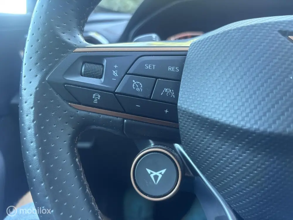 Cupra Formentor 2.0 TSI 4DRIVE VZ | Schaal|Beats|Lane uit 2020, foto 19