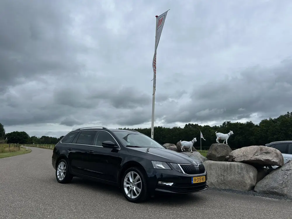 Skoda Octavia 1.0 TSI Greentech Business Edition NAVI uit 2019, foto 6