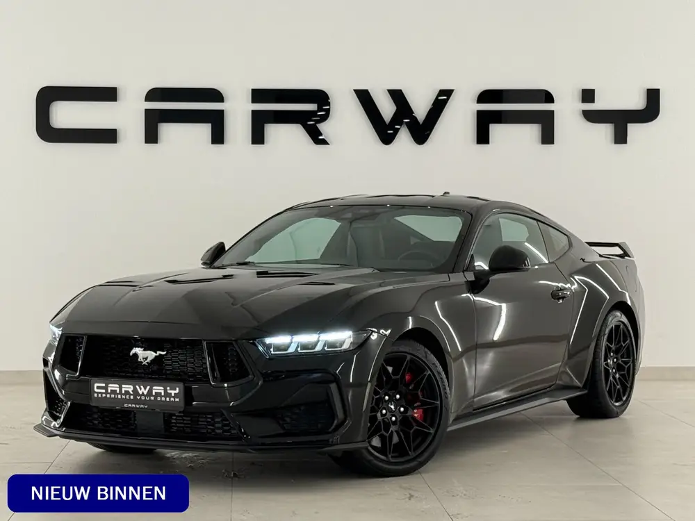 Ford Mustang Fastback Performance Enige 2026 Mustang In uit 2026