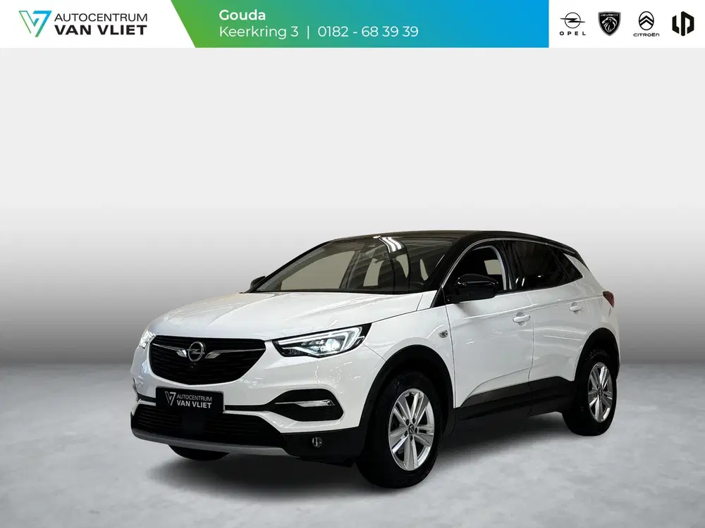 Opel Grandland X 1.2 Turbo Business Elegance uit 2021