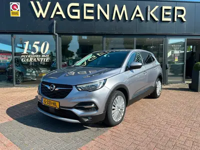 Opel Grandland X 1.2 Turbo Innovation Clima uit 2019