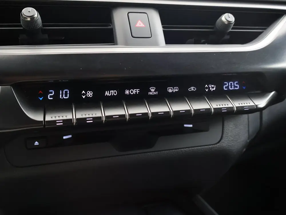 Lexus UX 250h Preference Line uit 2022, foto 9