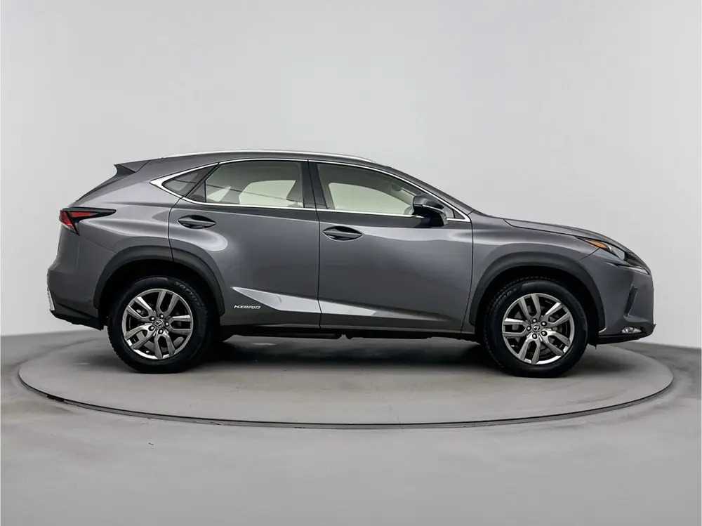Lexus NX 300h AWD Business Line Pro | Adaptive Cruise | Park uit 2020, foto 10