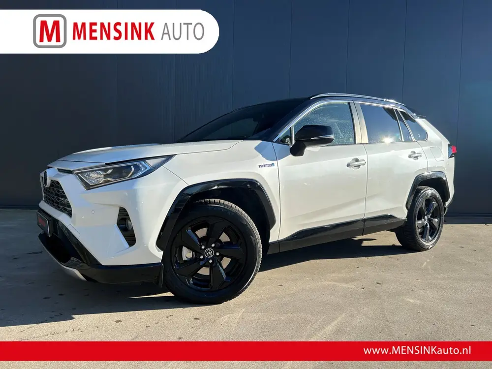 Toyota RAV4 2.5 Hybrid AWD Bi-Tone NAVI LEER CAMERA ADAPT CR uit 2019