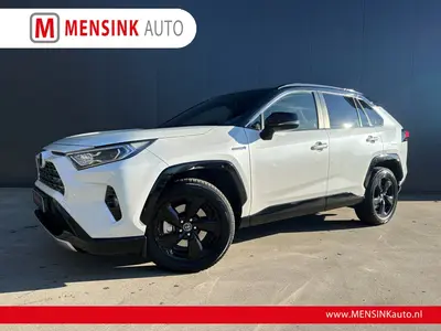 Toyota RAV4 2.5 Hybrid AWD Bi-Tone NAVI LEER CAMERA ADAPT CR uit 2019