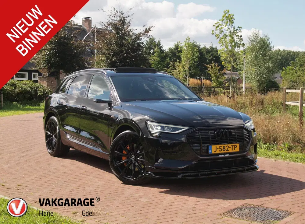 Audi e-tron e-tron 55 quattro 95 kWh uit 2019