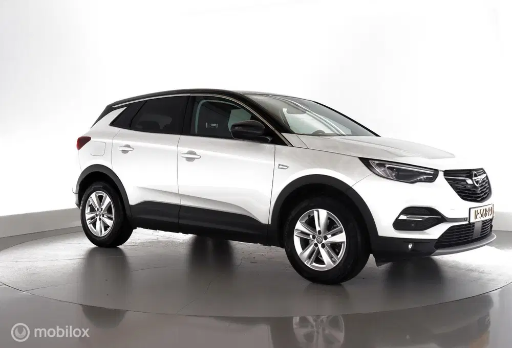 Opel Grandland X 1.2 T automaat Business Elegance leder uit 2021, foto 3