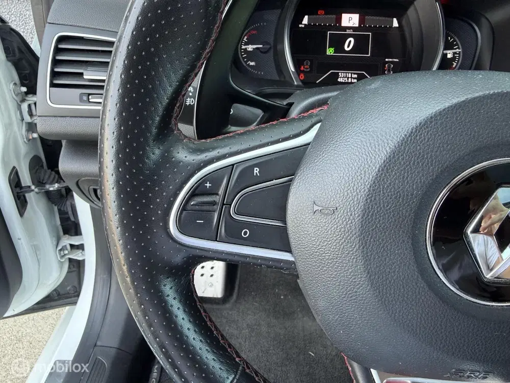 Renault Megane 1.8 TCe 300 RS Trophy uit 2020, foto 13