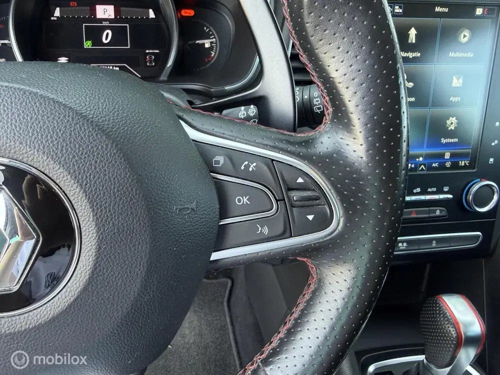 Renault Megane 1.8 TCe 300 RS Trophy uit 2020, foto 14
