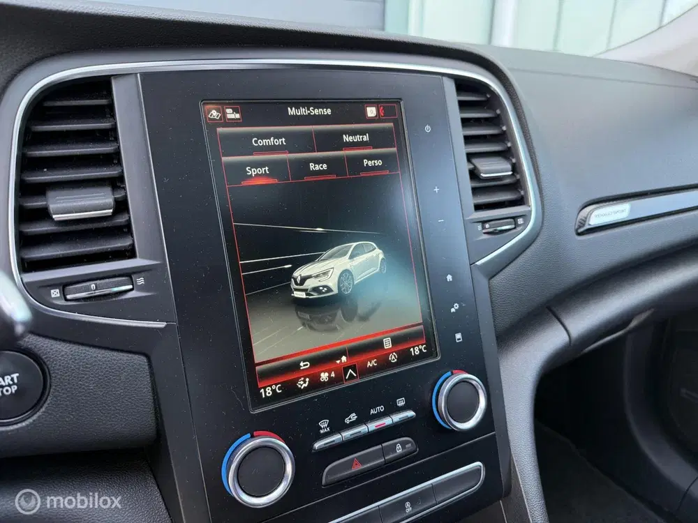 Renault Megane 1.8 TCe 300 RS Trophy uit 2020, foto 19