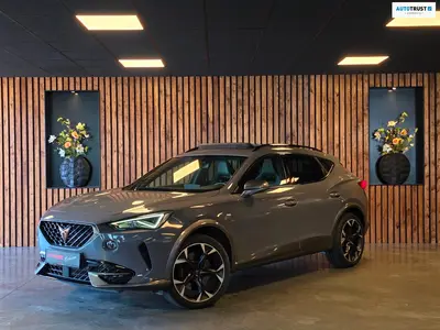 Cupra Formentor 2.0 TSI 4DRIVE l Nardo l Pano l Carplay l uit 2021