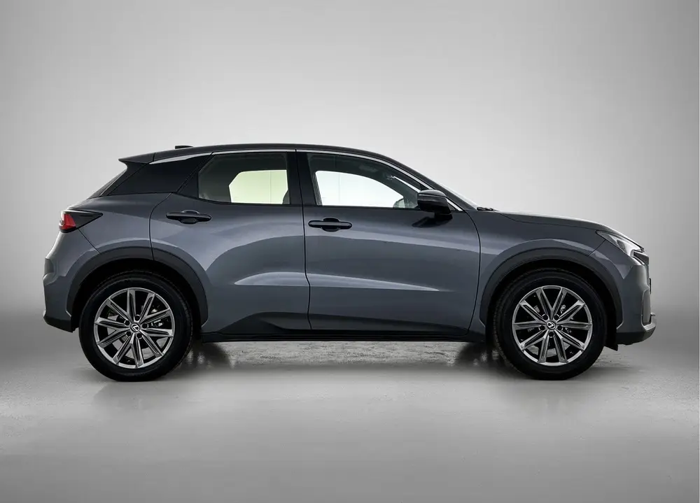 Lexus LBX Relax uit 2024, foto 12
