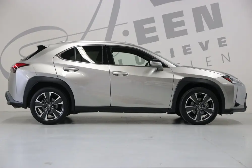 Lexus UX 250h AWD Executive Line uit 2020, foto 11