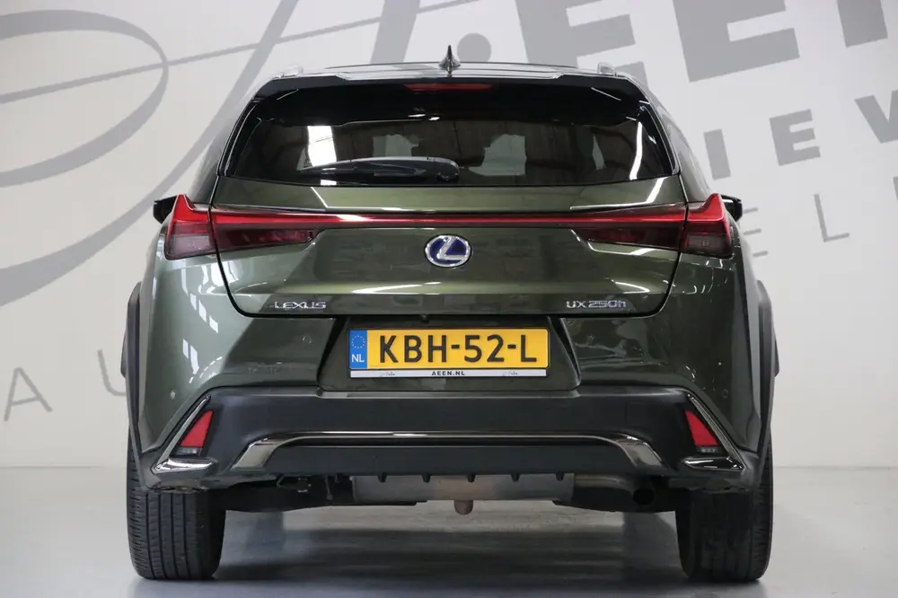 Lexus UX 250h F Sport Line/LED uit 2019, foto 13