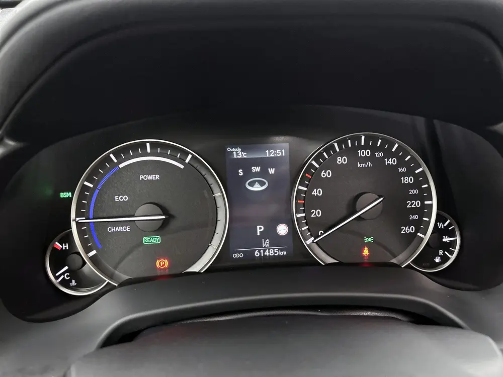 Lexus RX 450h Hybrid President Line | Mark Levinson Audio | uit 2021, foto 6