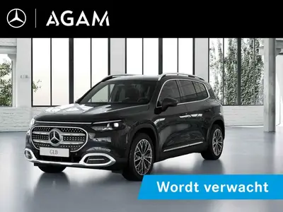 Mercedes-Benz GLB 250+ Business Solution 85.5 kWh uit 2026