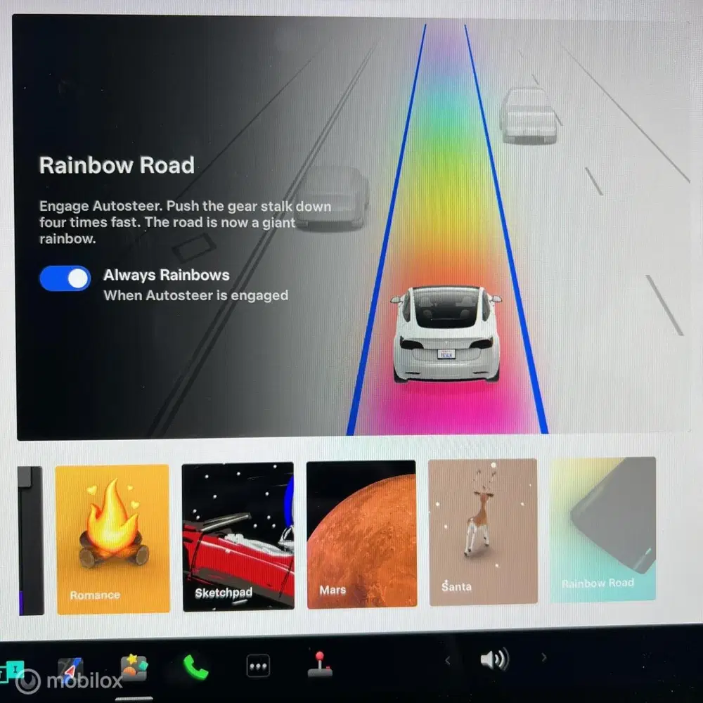 Tesla Model Y LR AWD MMXPACK + TREKHAAK uit 2023, foto 14