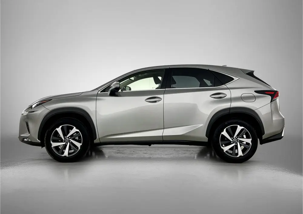 Lexus NX 300h AWD Executive Line | President Pack | Mark Lev uit 2021, foto 3