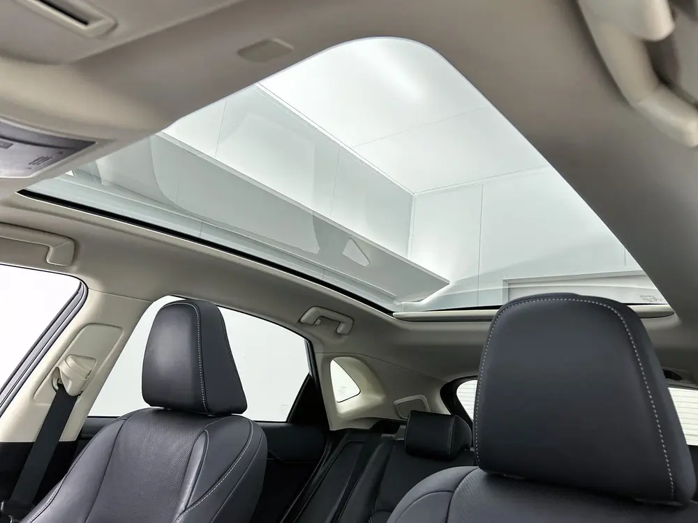 Lexus NX 300h AWD Executive Line | President Pack | Mark Lev uit 2021, foto 4