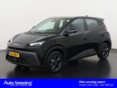 BYD Dolphin Surf Boost 43 kWh uit 2026