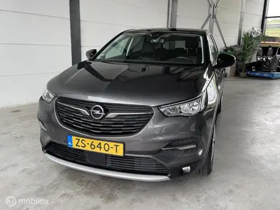 Opel Grandland X 1.2 Turbo Business Executive uit 2019