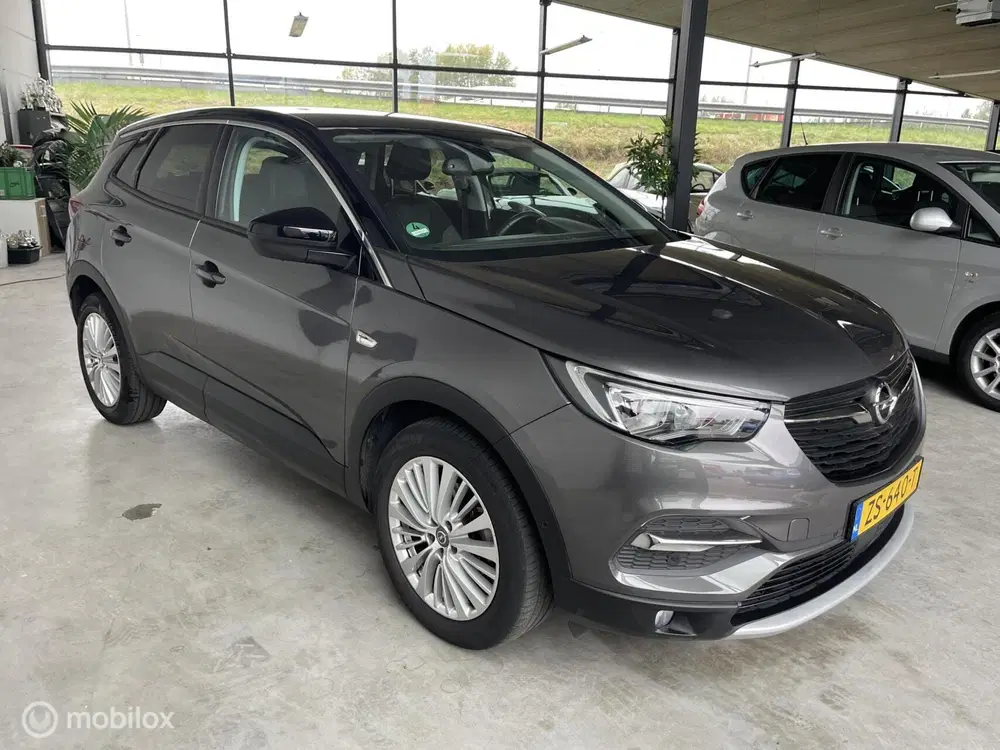 Opel Grandland X 1.2 Turbo Business Executive uit 2019, foto 6