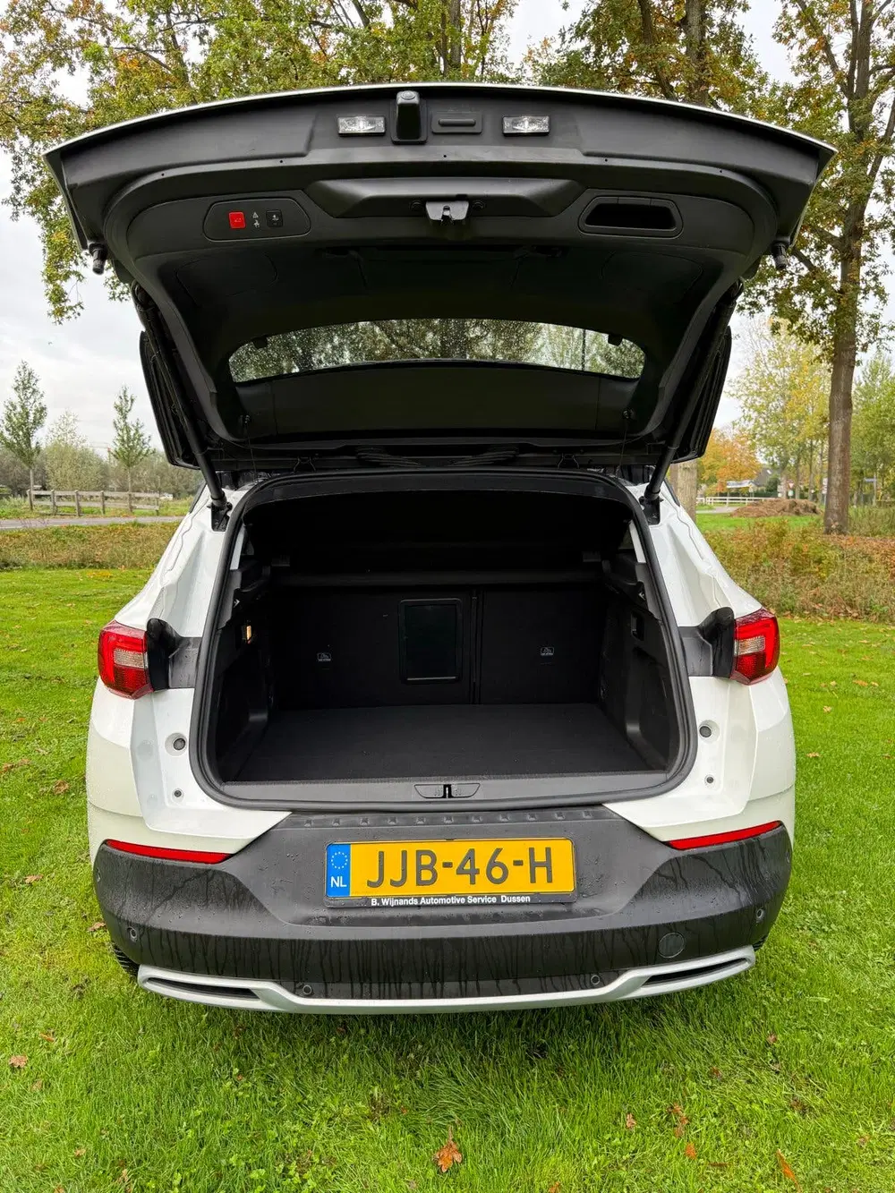 Opel Grandland X 1.6 Turbo Hybrid4 300pk 4x4 Aut 2020 Wit uit 2020, foto 14