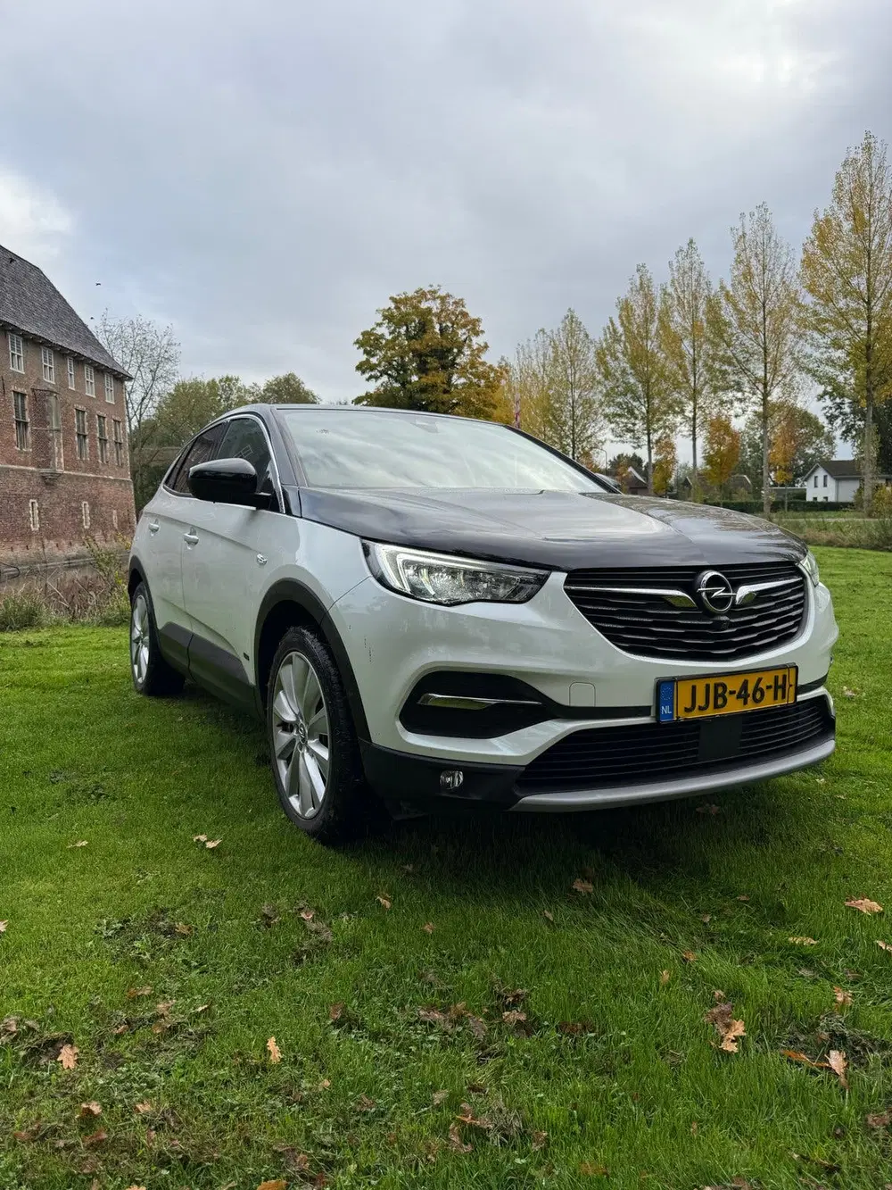 Opel Grandland X 1.6 Turbo Hybrid4 300pk 4x4 Aut 2020 Wit uit 2020, foto 2