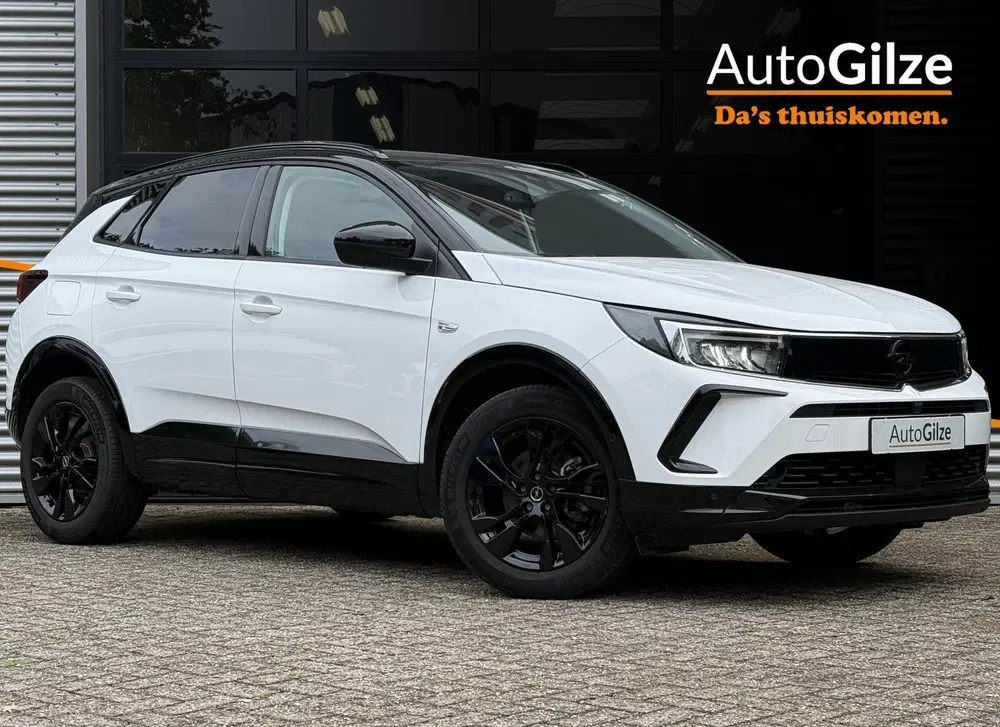 Opel Grandland 1.2 Turbo GS l Stuurverwarming l Camera l uit 2024