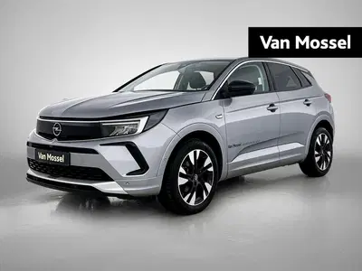 Opel Grandland 1.2 Turbo Business Edition uit 2023