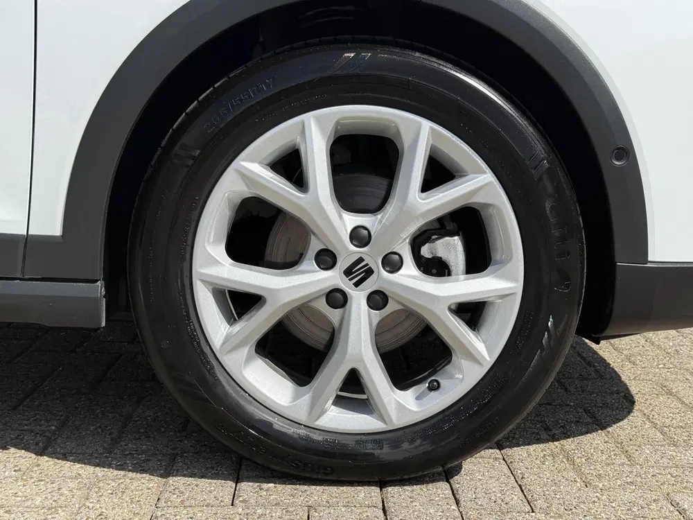 SEAT Arona 1.0 EcoTSI 116pk DSG FR Business Connect l uit 2025, foto 11