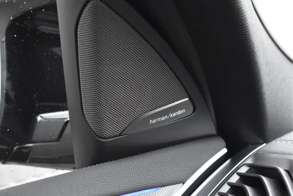 BMW X4 M Competition Panorama uit 2020, foto 15